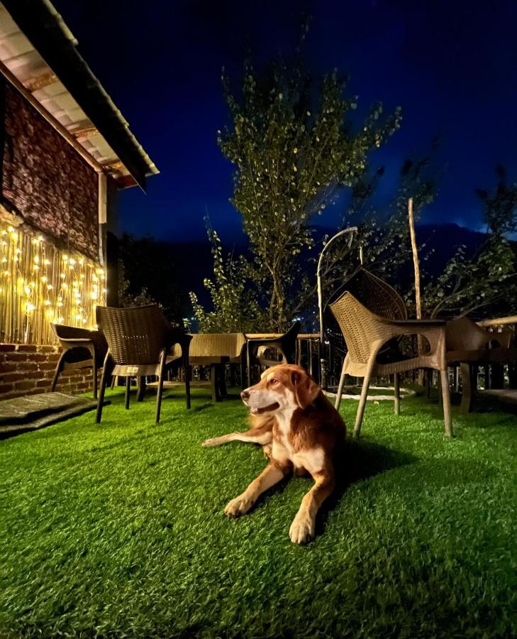 Roamate Hostel, Old Manali Exterior photo